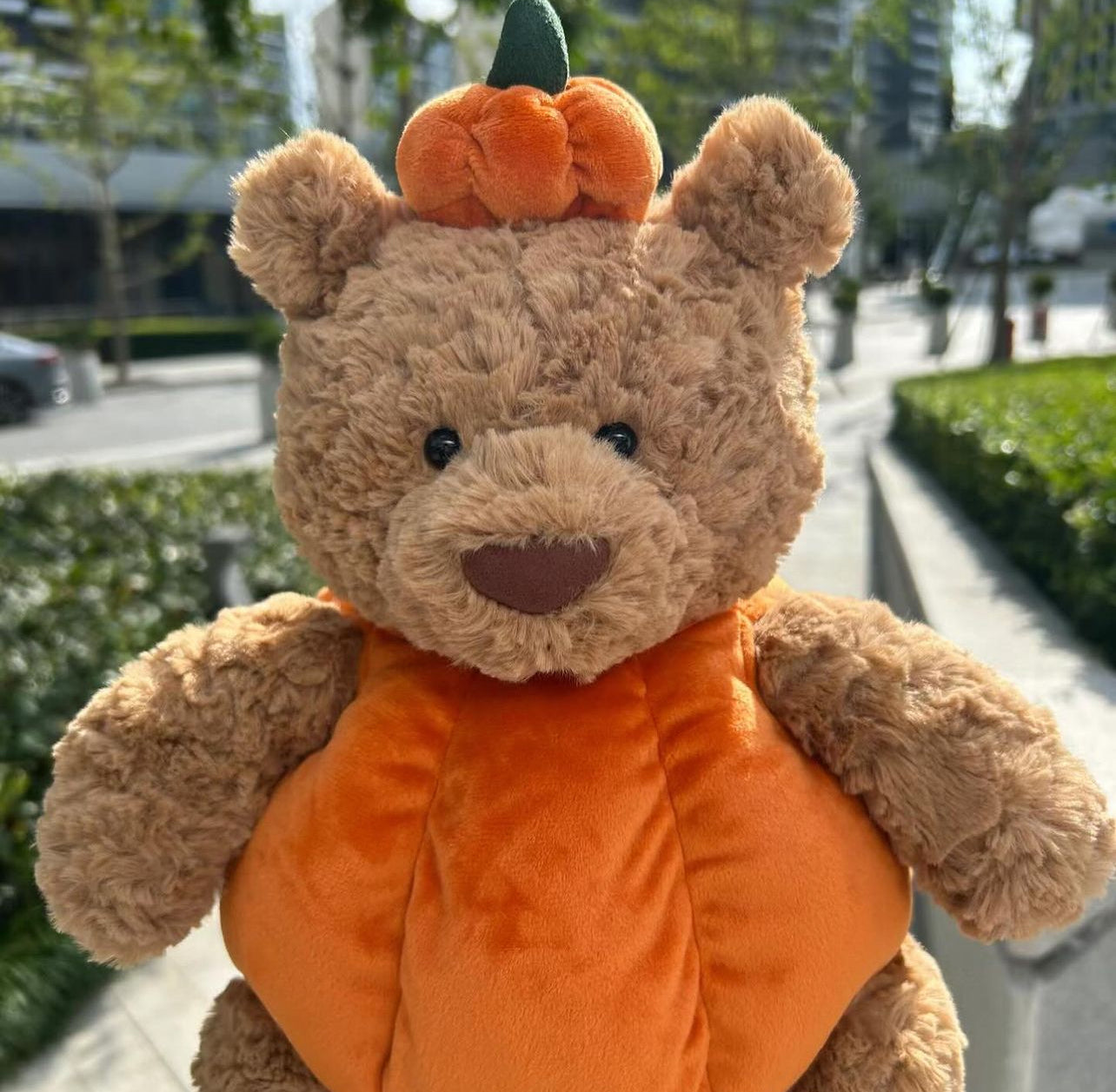 📣補貨JELLYCAT 南瓜熊